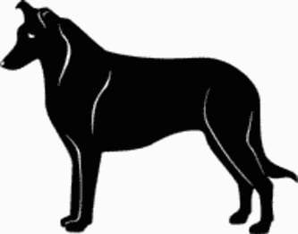 15i Collie Dog Decal
