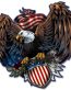 american eagle_army decal_plasma_shape