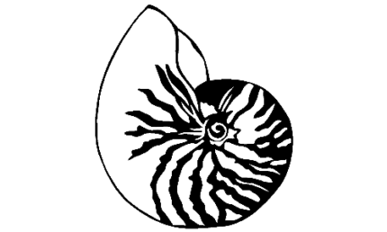 Nautilus Decal