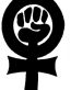 anarchy FEMINISM die cut decal