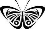 Butterfly Vinyl Window or Wall Decal 6