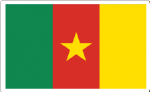 Cameroon Flag Decal
