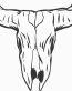 Cow Skull Decal5