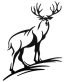 deer decal 66