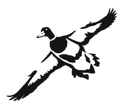 DUCK FLY HIGH DECAL