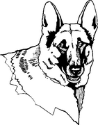 German Shepard Dog Breed Decal 48