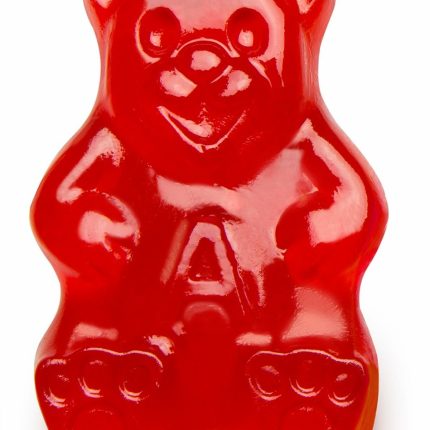 gummi-papa-bear sticker