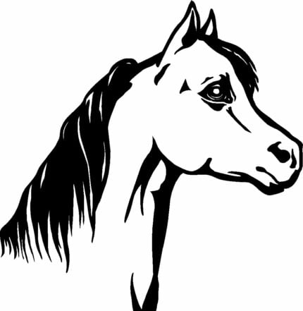 Horses Horse Animal Vinyl Car or WALL Decal Stickers 03