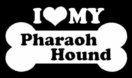 I Love My Pharaoh Hound