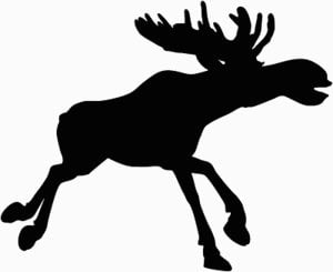 Moose Hunting Decal Sticker 1