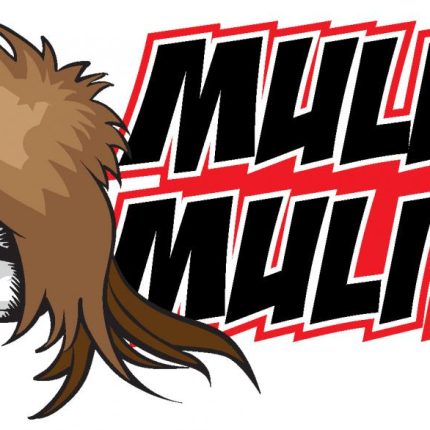 mullet mulitia guy sticker