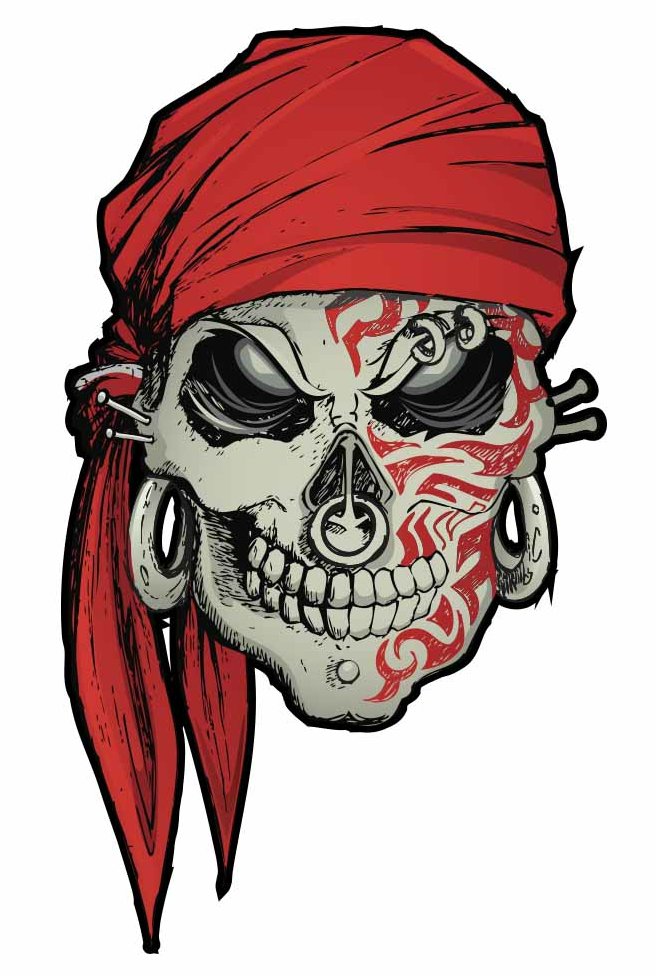 pirate skull in bandana color skull decal