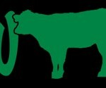 show life cow diecut decal