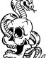 skull snake