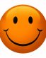 Smile Orange Sticker