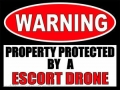 Warning protected by escort drone sticker