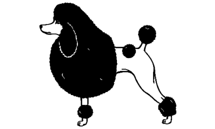 062 Poodle Decal