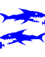 Shark car decal