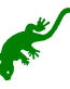 Gekko decal