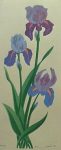 7x17 Iris Flower 1