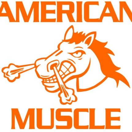 American Muscle Decal