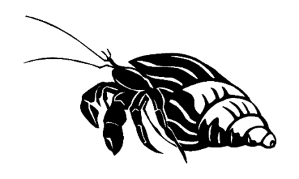 Hermit Crab Decal