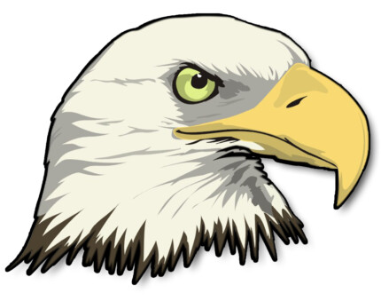 Bald Eagle Head Sticker