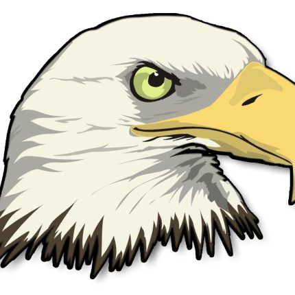 Bald Eagle Head Sticker