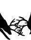 Deer Hunting Decal Sticker 47a