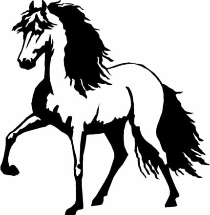Horses Horse Animal Vinyl Car or WALL Decal Stickers 15
