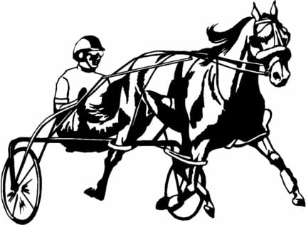 Horses Horse Animal Vinyl Car or WALL Decal Stickers 18