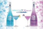 Hpnotiq Bottles Rectangular Decal