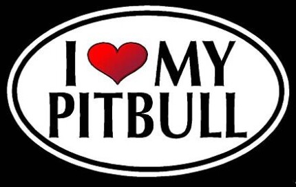 Love My Pitbull Color Oval Decal