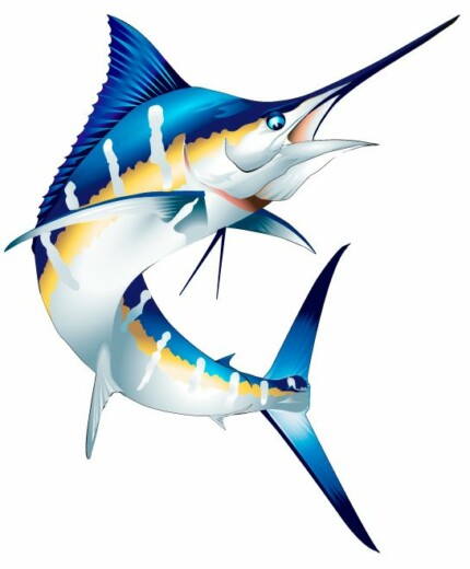 Marlin Color Fish Sticker 1