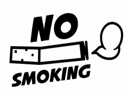 No Smoking Funny Vinyl Car Decal