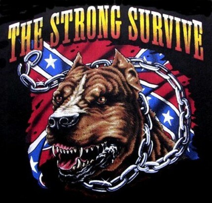 pitbull strong survive rebel sticker