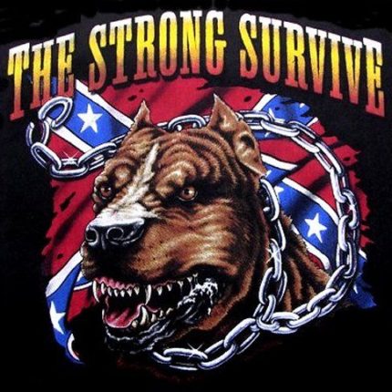 pitbull strong survive rebel sticker