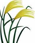 PLANT Emoji_Of_Rice