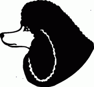 Poodle Dog Breed Decal 43
