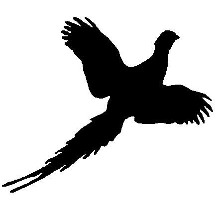 Pheasant Flying Decal