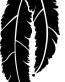 Feather Decal 1