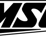 Amsoil Logo Diecut Racing Decal
