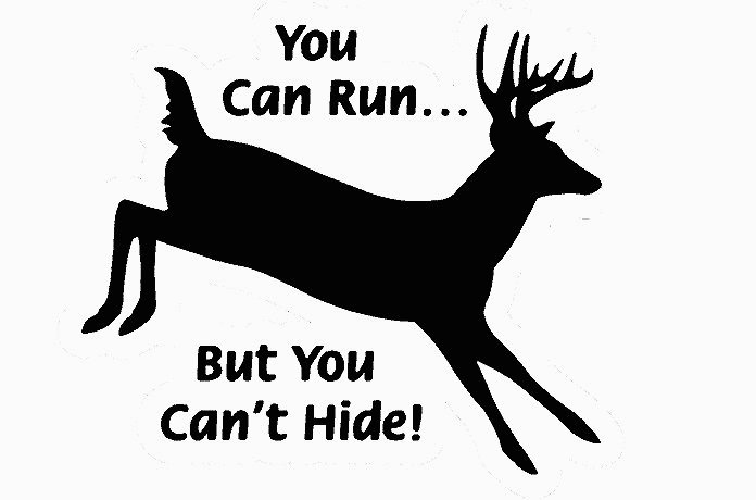 Can Run but Cant Hide Hunting Decal