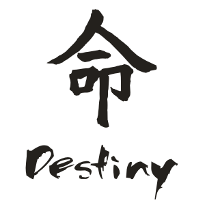 chinese - destiny