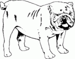 Dog Breed Decal 36a