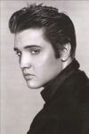 Elvis Sticker 7