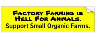 factory_farming_is_hell_bumper_sticker