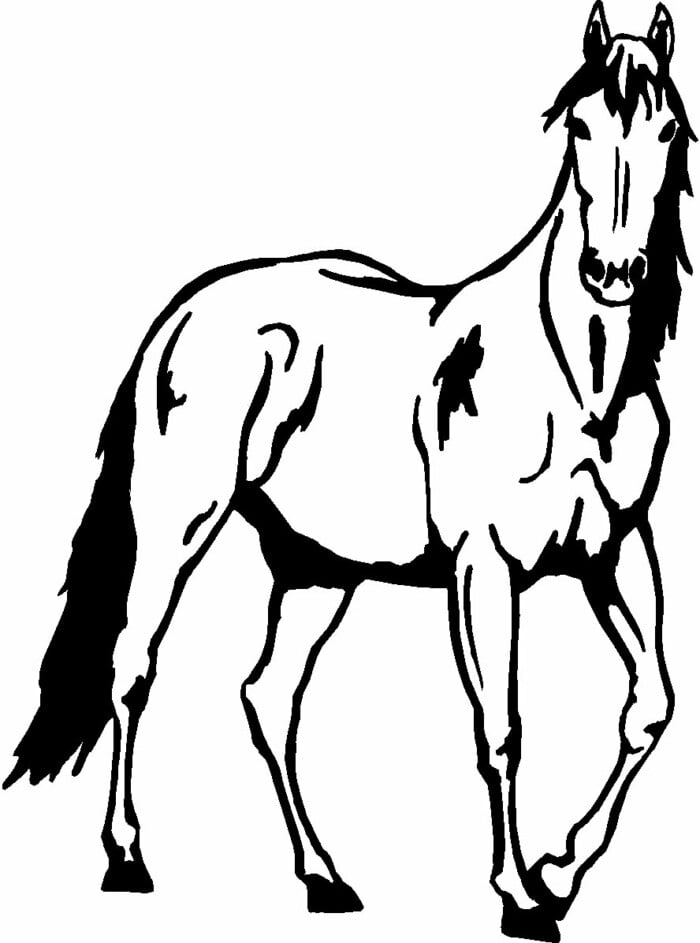 Horses Horse Animal Vinyl Car or WALL Decal Stickers 22