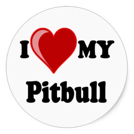 i love my pitbull round sticker