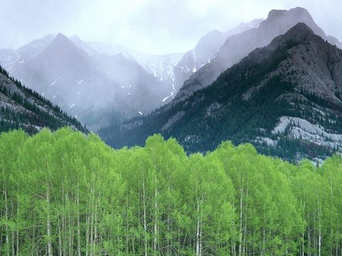 Mountain Scenes Wall Art Decals 103